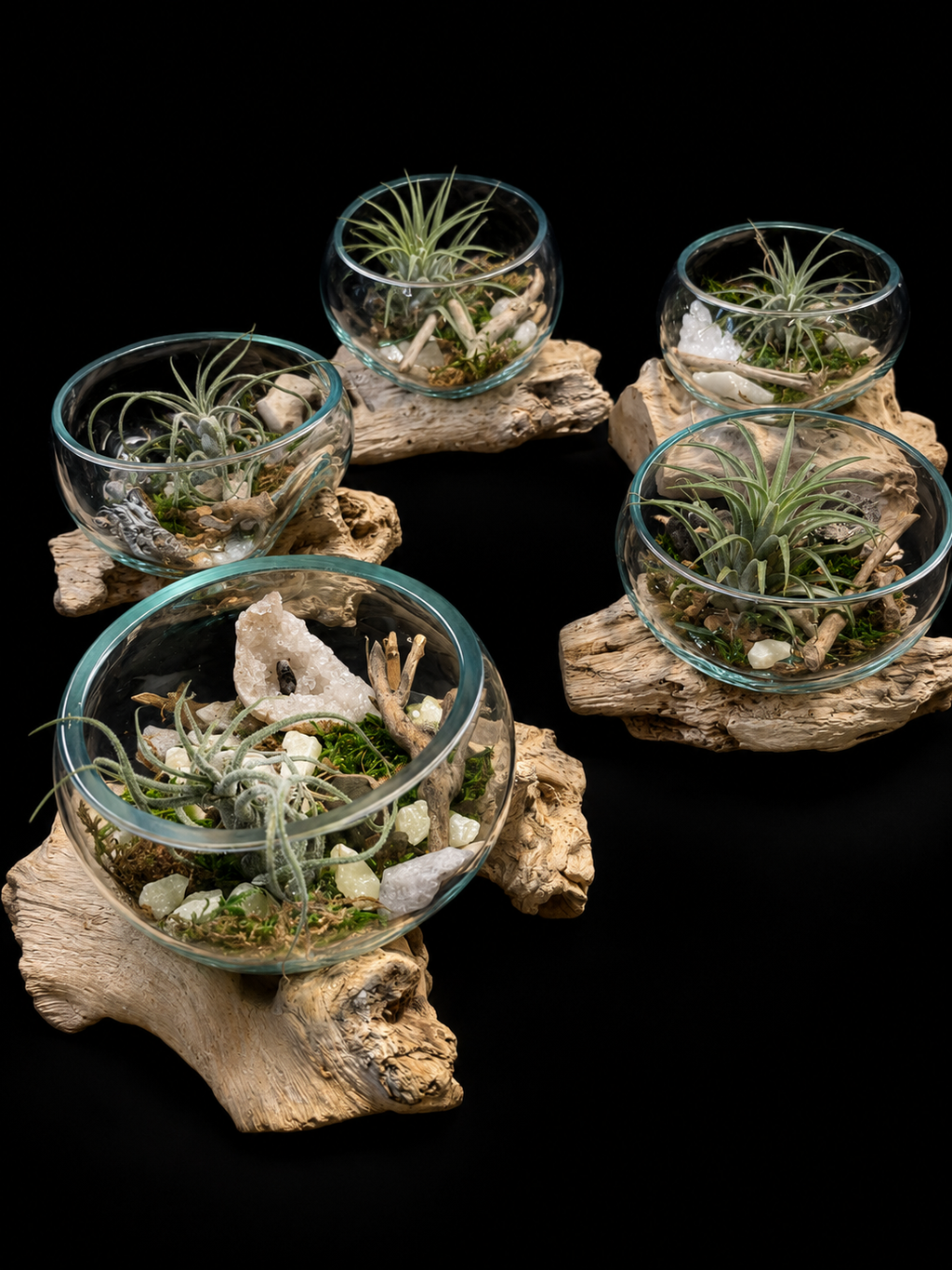 Tillandsia in handgeblazen glas op drijfhout