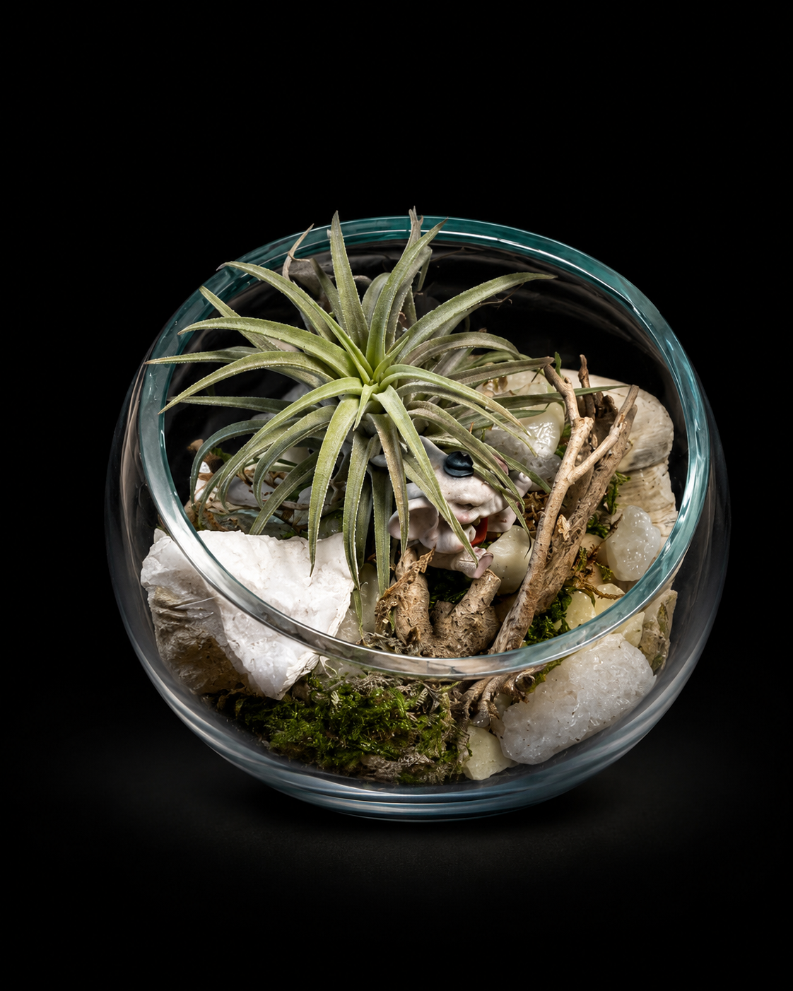 Tillandsia in handgeblazen glas op drijfhout