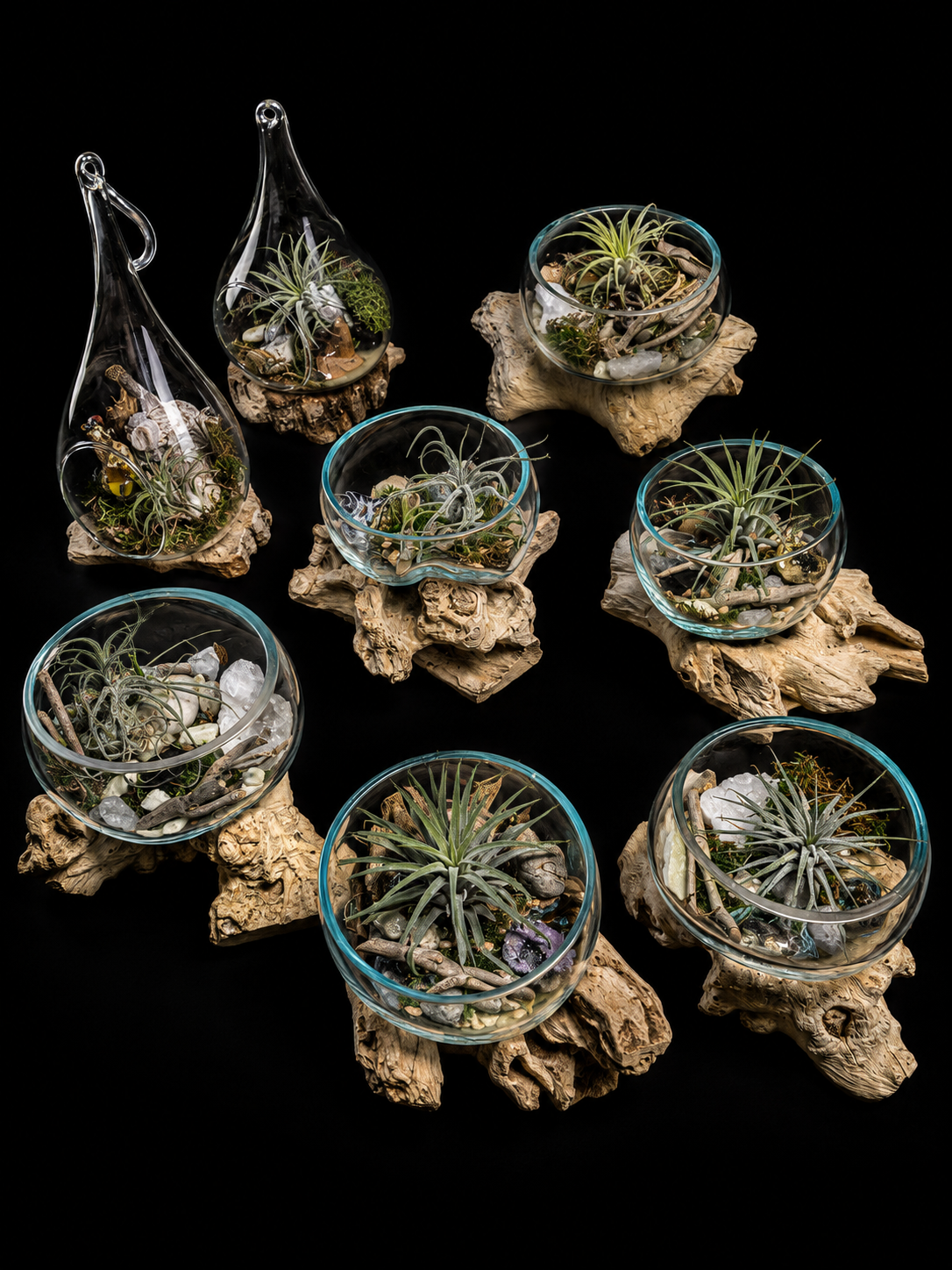 Tillandsia in handgeblazen glas op drijfhout
