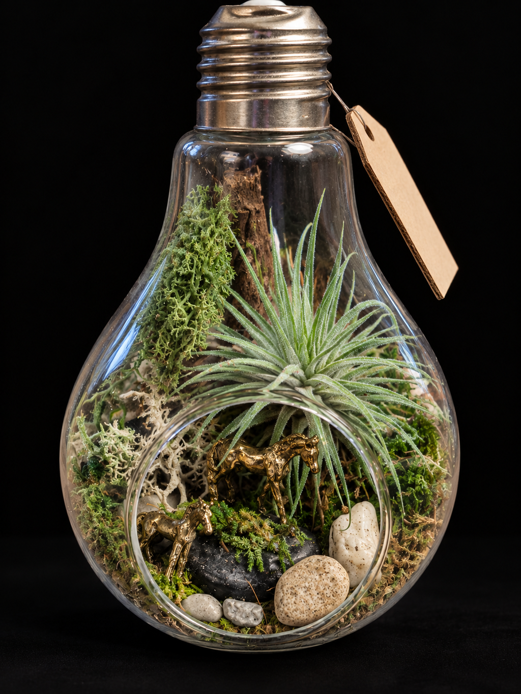 Secret Garden – Miniatuurwereld in Glazen Lamp met Tillandsia