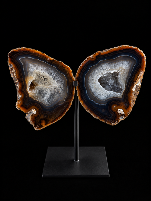 Agaatvlinder uit Brazilië – natuurlijke geode op standaard