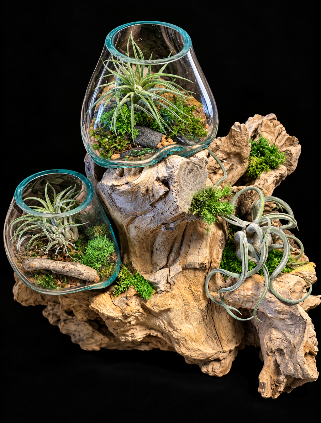 Handgeblazen glas op drijfhout met Tillandsia – 40 cm