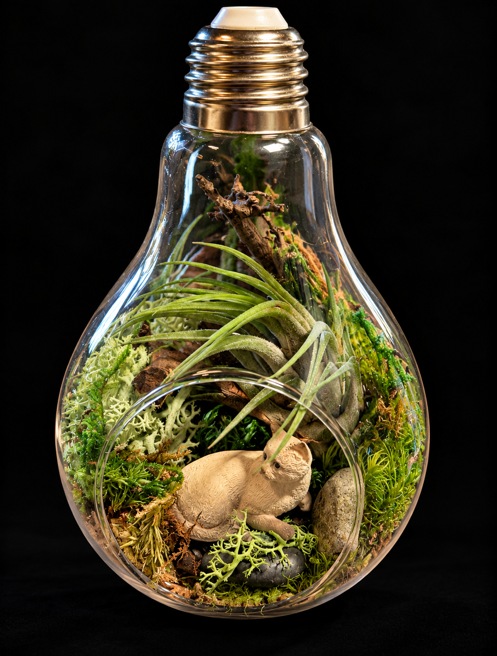 Secret Garden – Miniatuurwereld in Glazen Lamp met Tillandsia