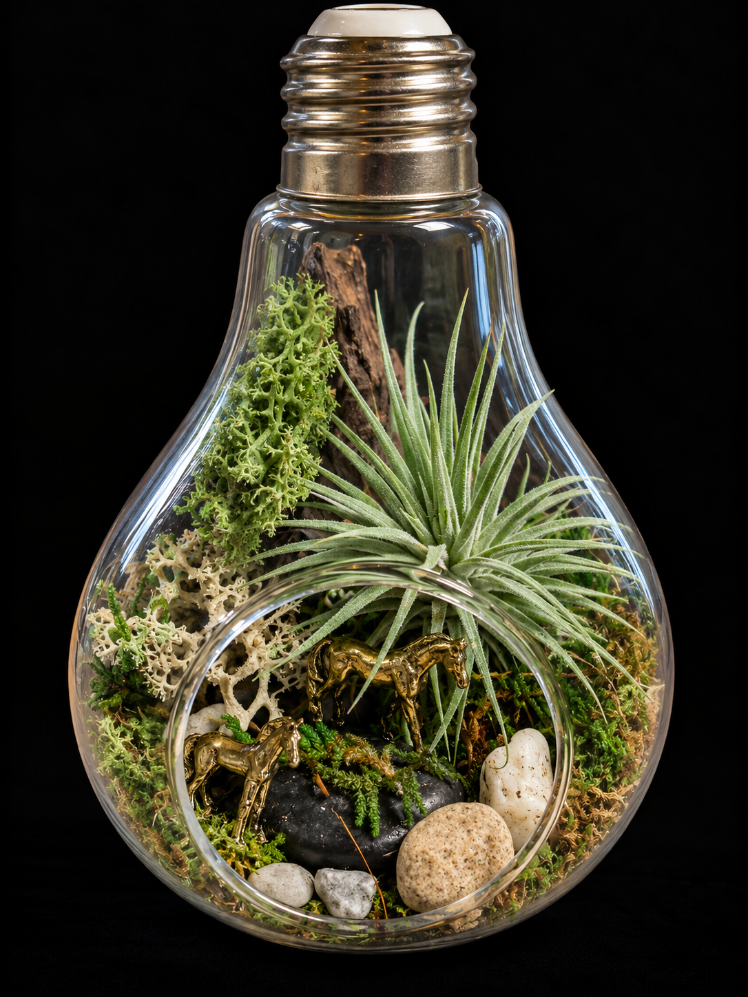 Secret Garden – Miniatuurwereld in Glazen Lamp met Tillandsia