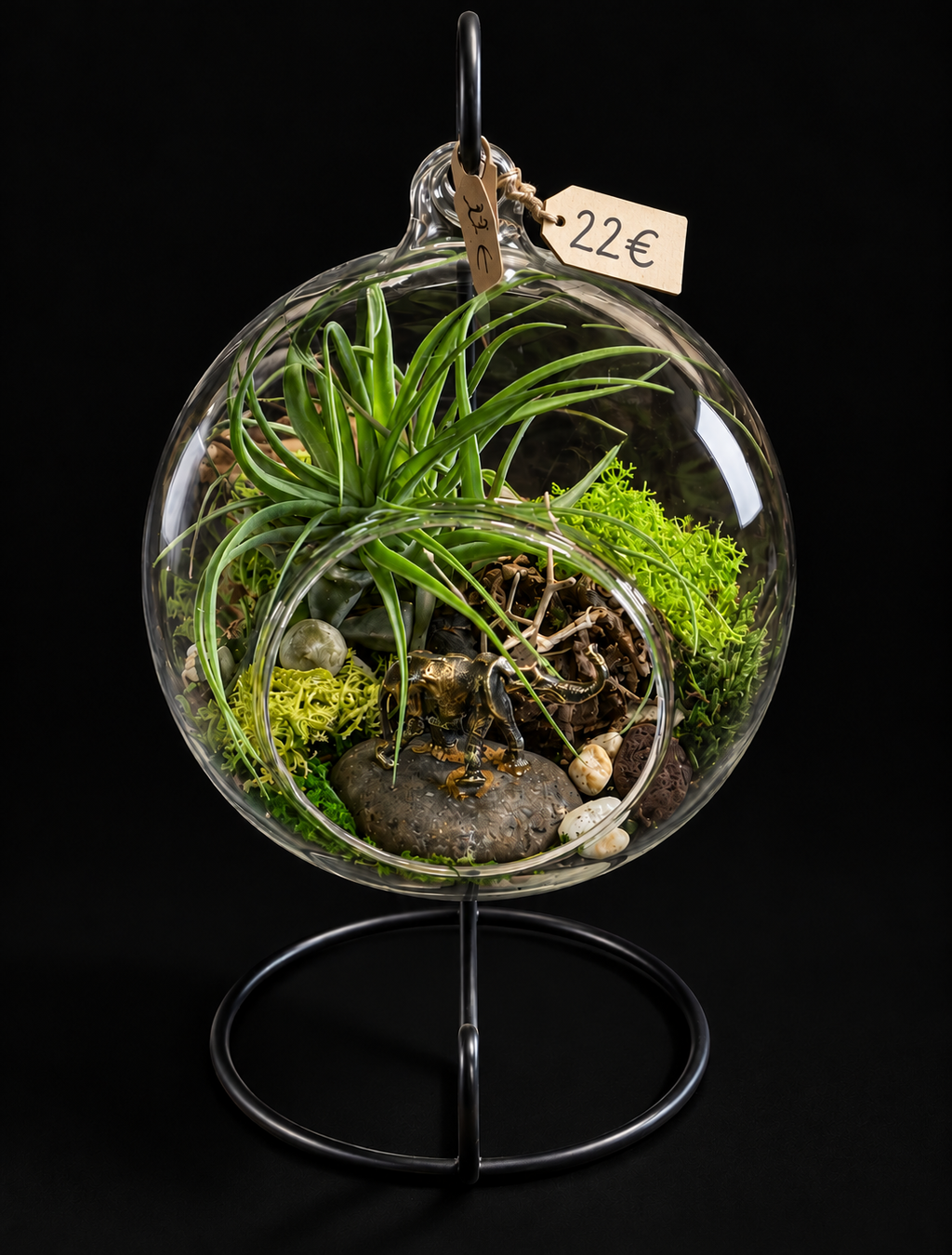 Secret Garden – Hangend Glazen Terrarium met Tillandsia