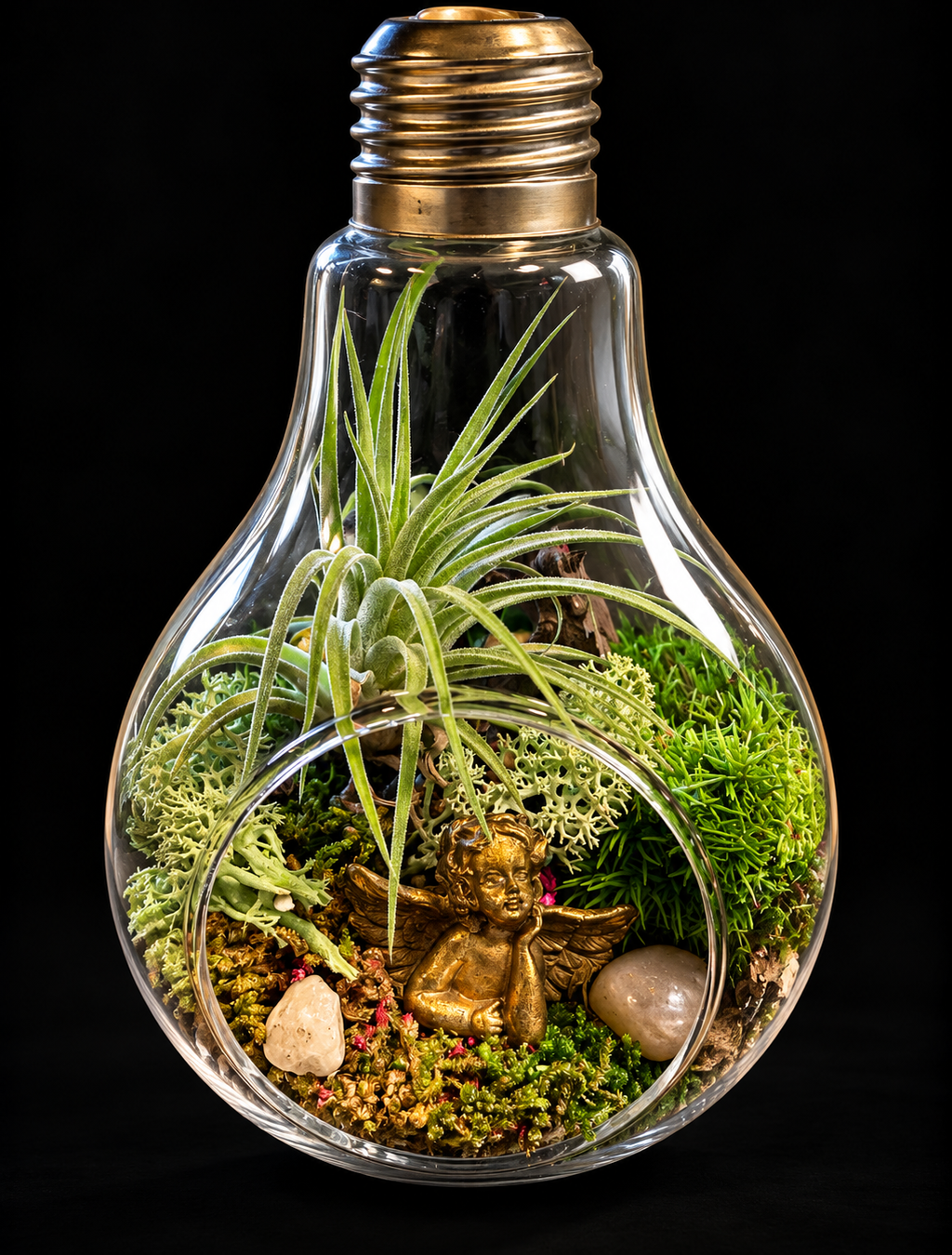 Secret Garden – Miniatuurwereld in Glazen Lamp met Tillandsia