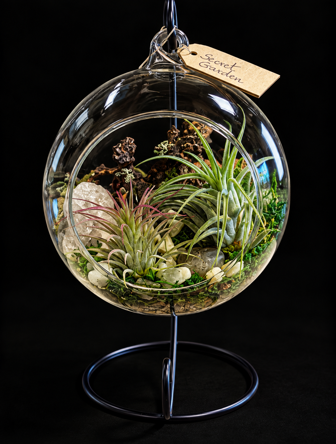 Secret Garden – Hangend Glazen Terrarium met Tillandsia