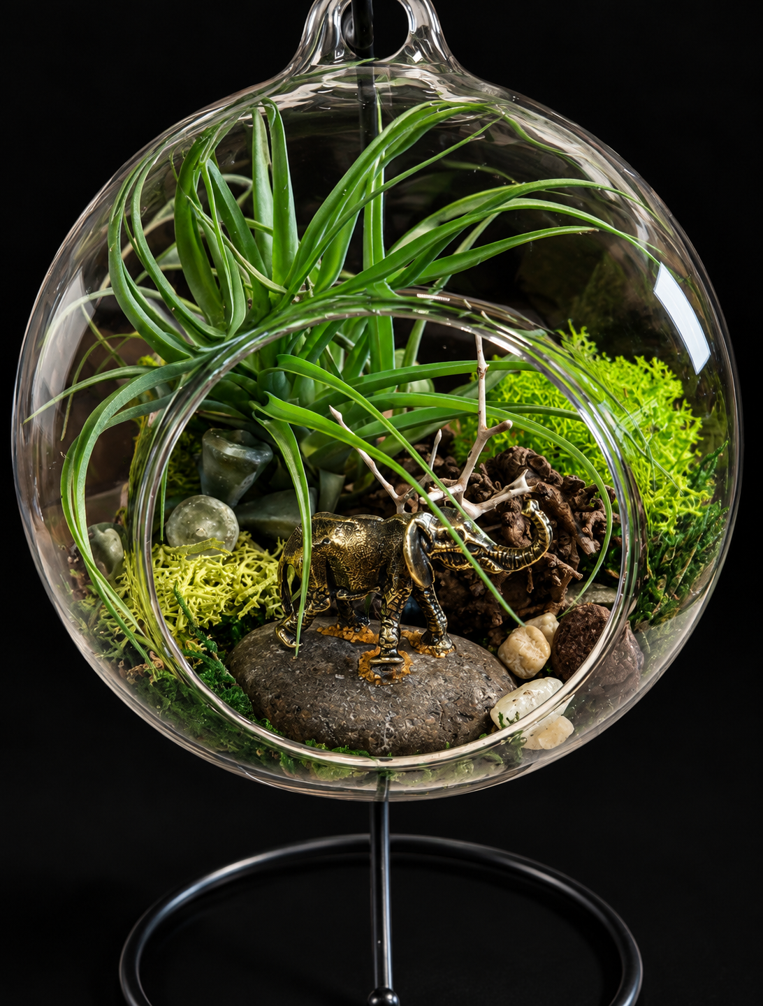 Secret Garden – Hangend Glazen Terrarium met Tillandsia