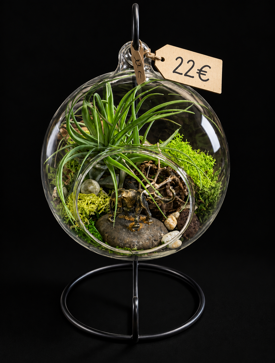 Secret Garden – Hangend Glazen Terrarium met Tillandsia