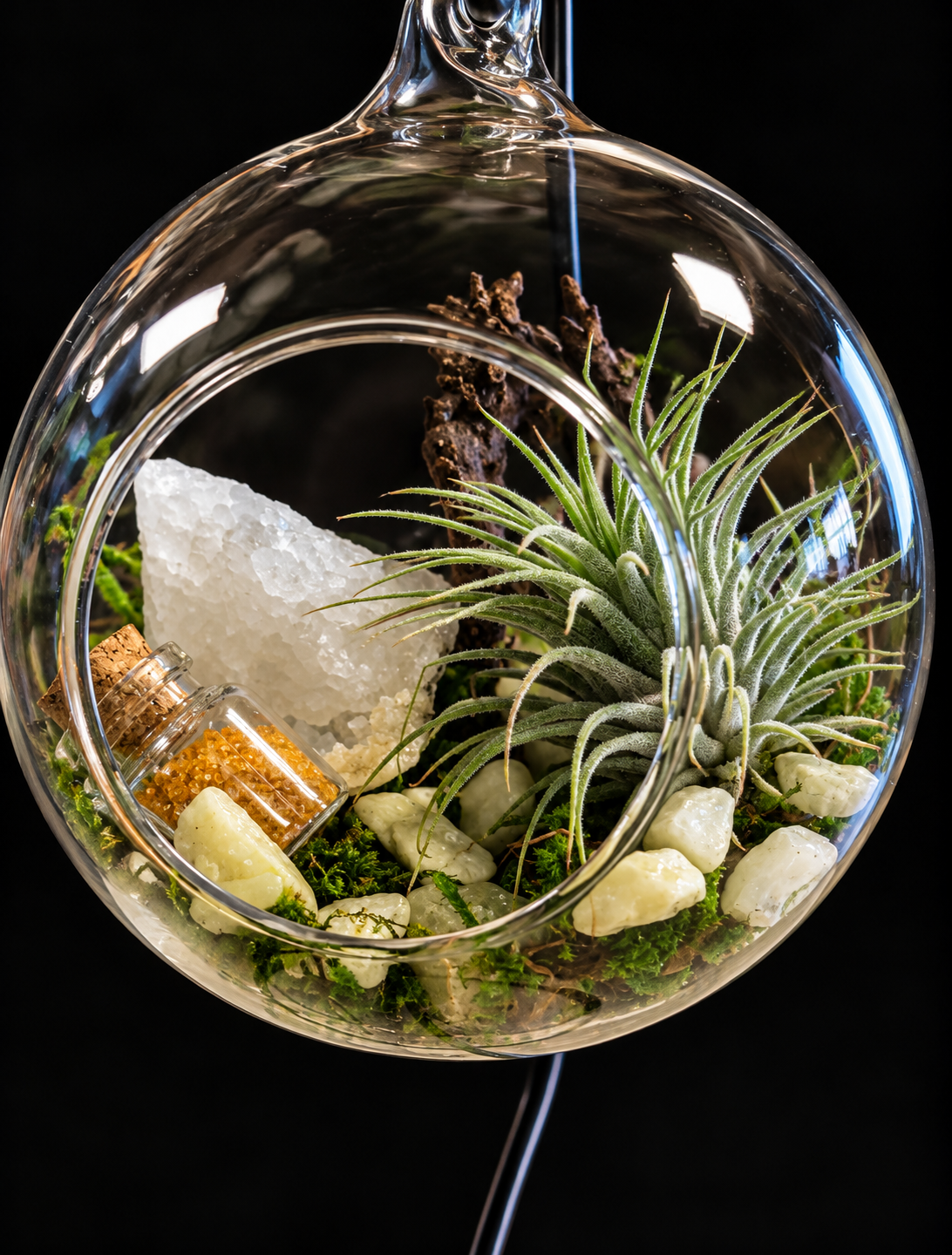 Secret Garden – Hangend Glazen Terrarium met Tillandsia