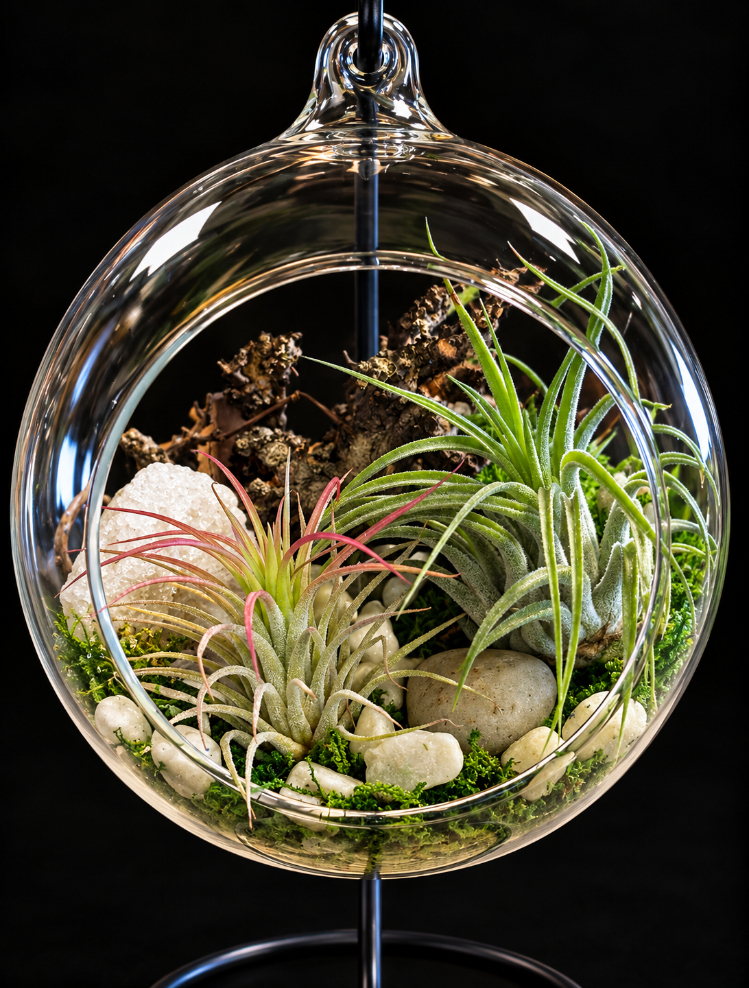 Secret Garden – Hangend Glazen Terrarium met Tillandsia