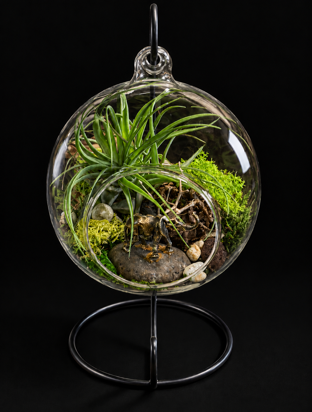 Secret Garden – Hangend Glazen Terrarium met Tillandsia