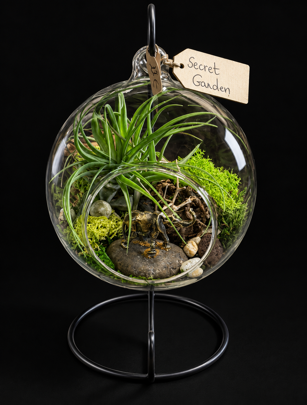 Secret Garden – Hangend Glazen Terrarium met Tillandsia