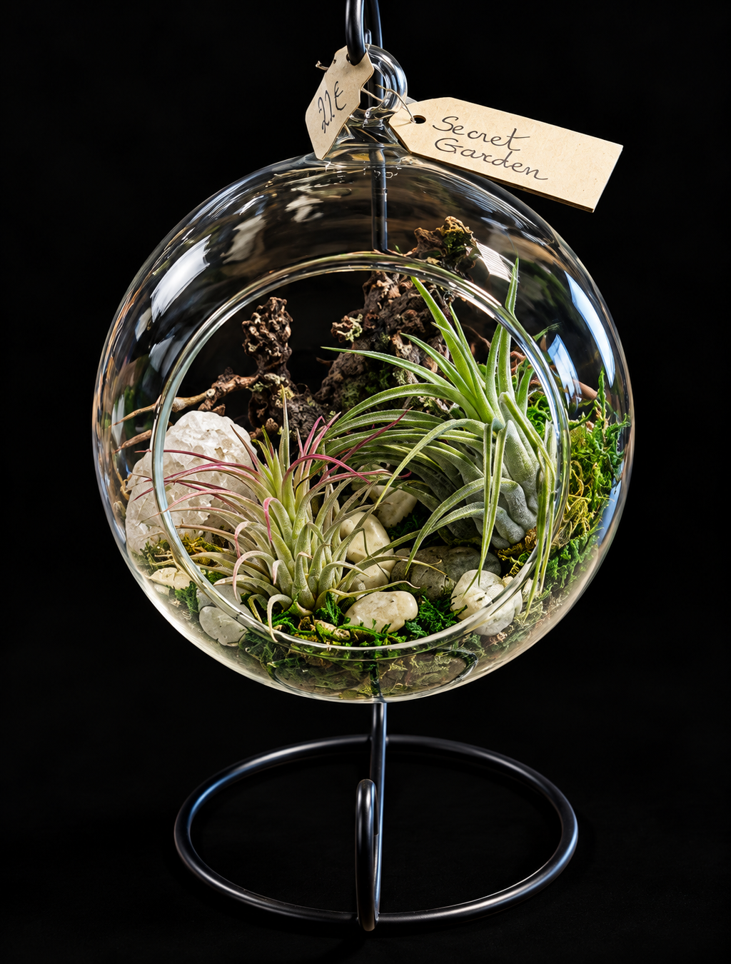 Secret Garden – Hangend Glazen Terrarium met Tillandsia