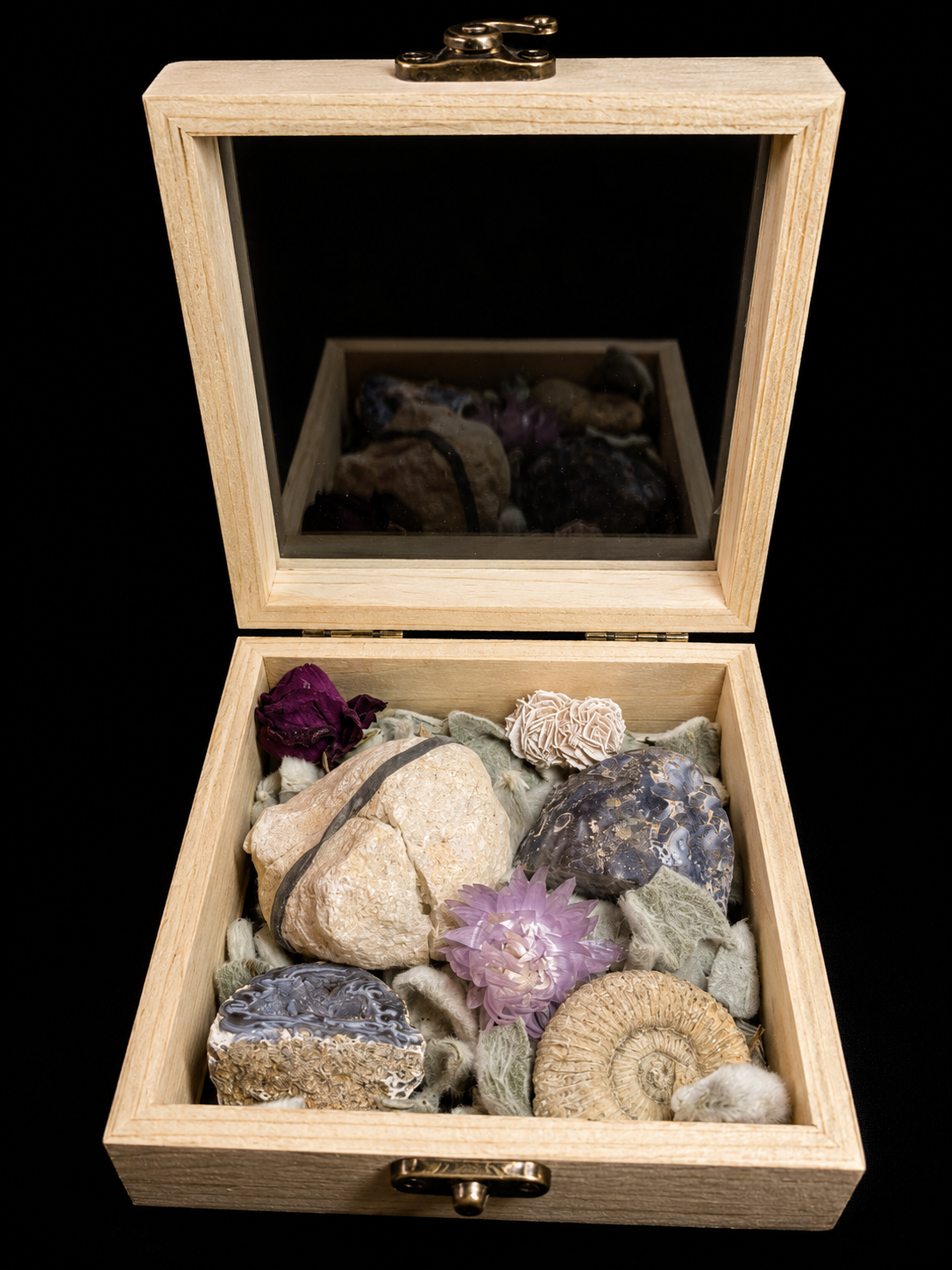 Natuurdoosje met fossielen & mineralen – unieke samenstelling