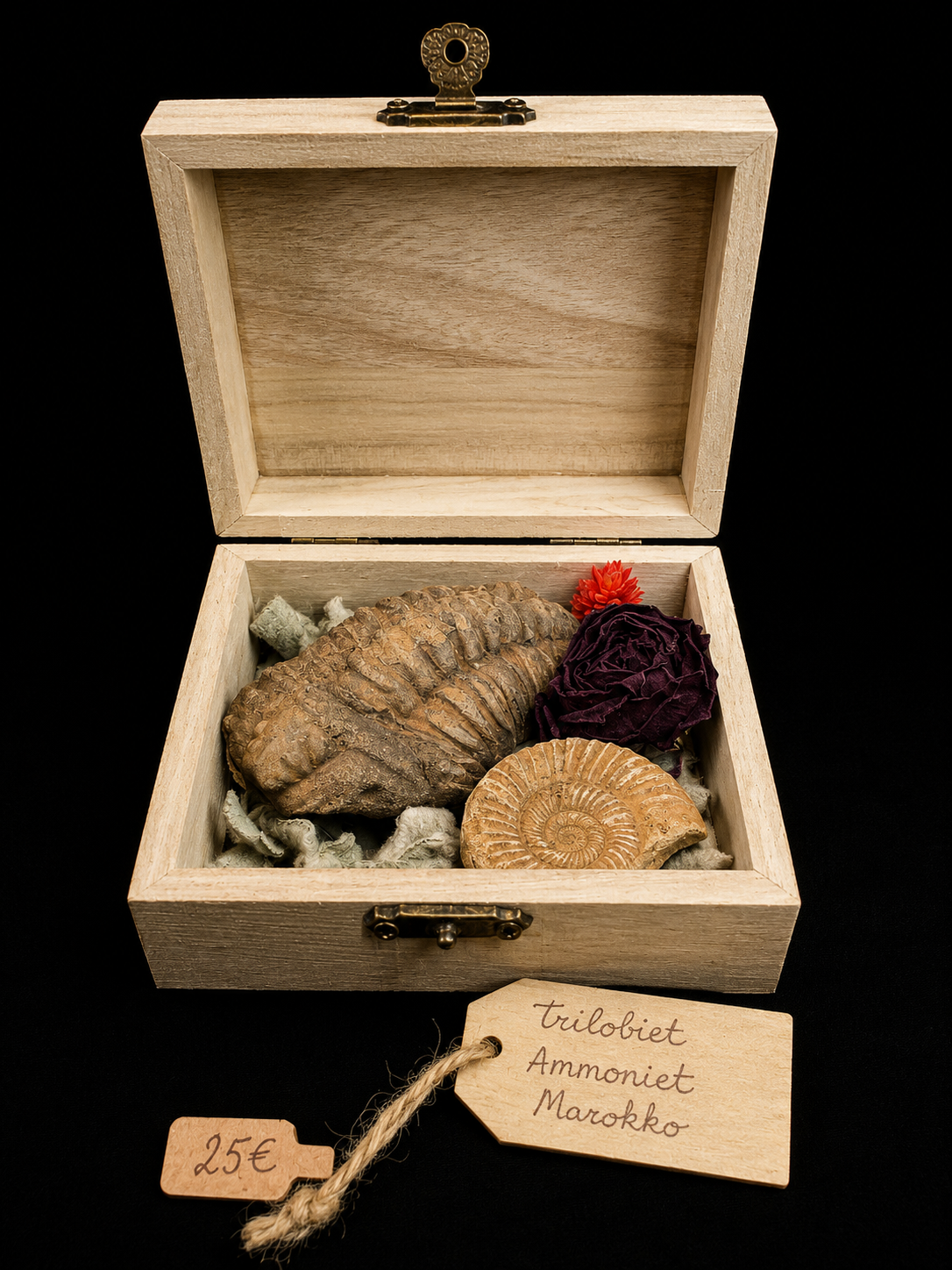 Natuurdoosje met fossielen & mineralen – unieke samenstelling