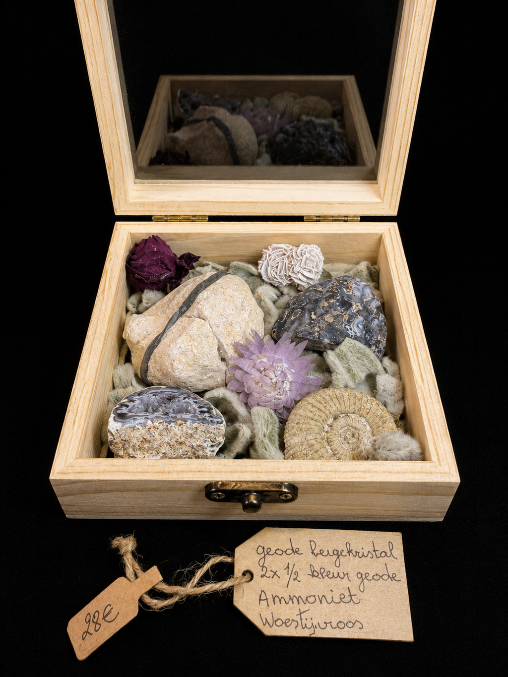 Natuurdoosje met fossielen & mineralen – unieke samenstelling