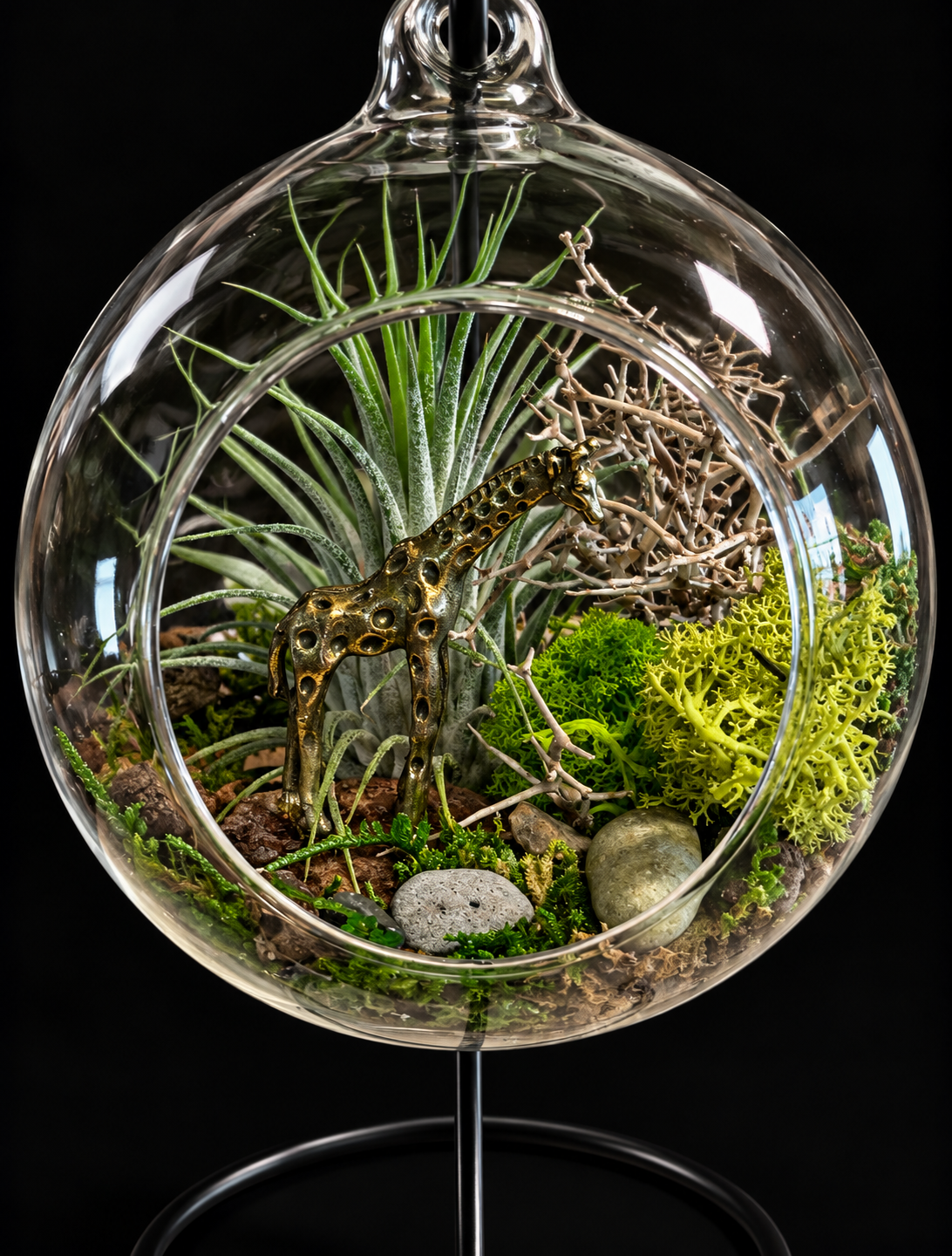 Secret Garden – Hangend Glazen Terrarium met Tillandsia