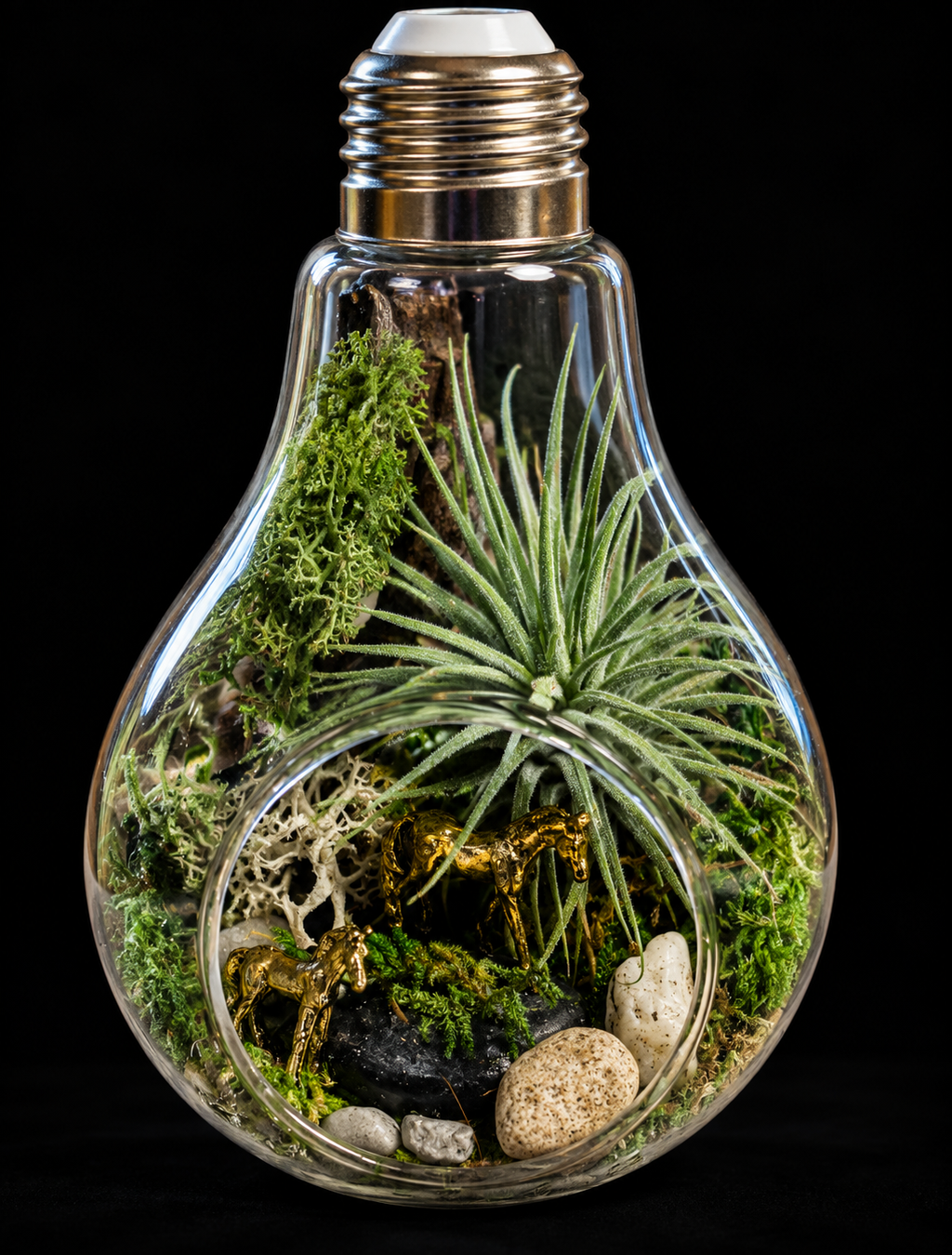 Secret Garden – Miniatuurwereld in Glazen Lamp met Tillandsia