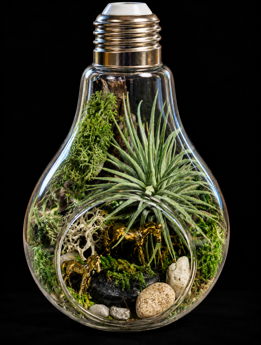Secret Garden – Miniatuurwereld in Glazen Lamp met Tillandsia