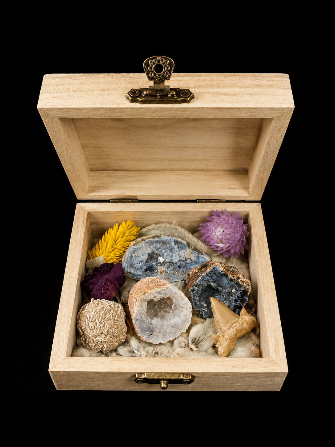 Natuurdoosje met fossielen & mineralen – unieke samenstelling