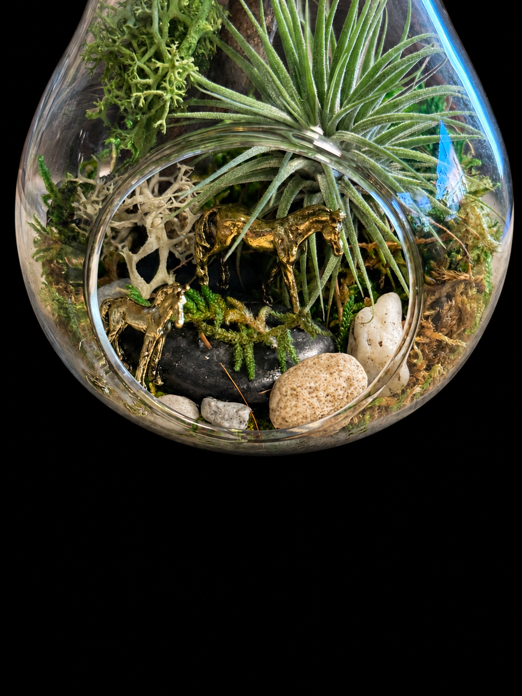 Glazen lamp met Tillandsia en gouden paardjes – 13 cm