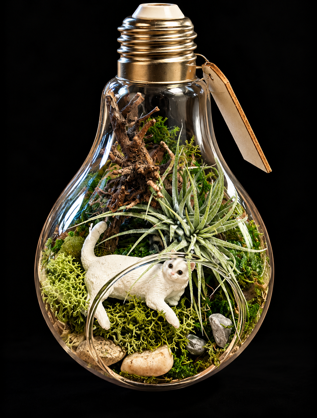Secret Garden – Miniatuurwereld in Glazen Lamp met Tillandsia