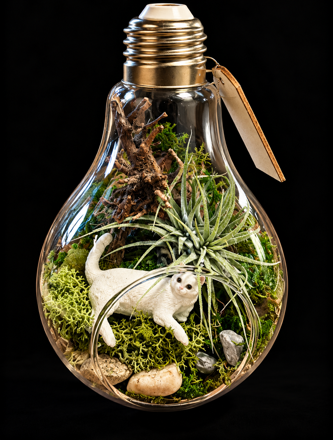 Secret Garden – Miniatuurwereld in Glazen Lamp met Tillandsia